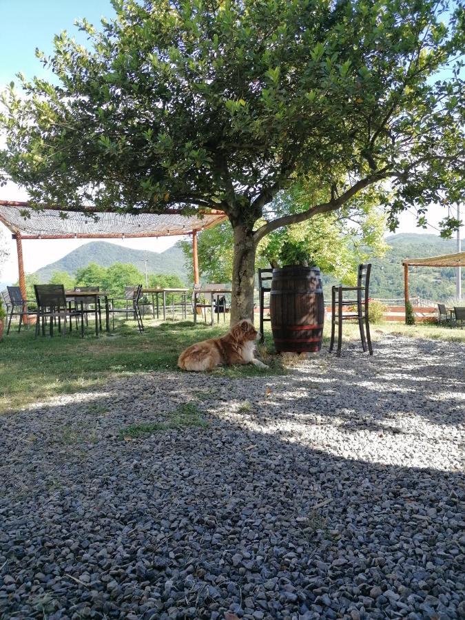 Agriturismo Dei Legi San Pietro Vara Luaran gambar