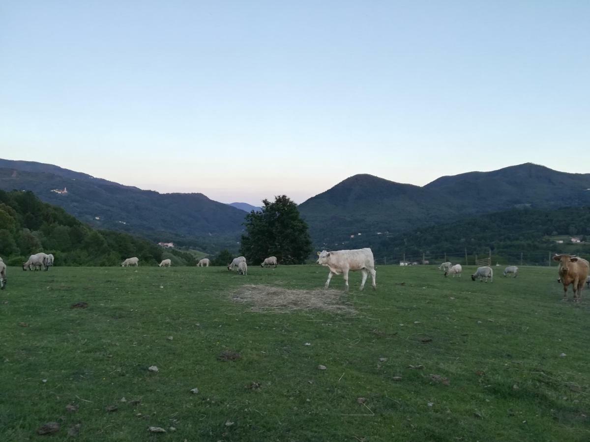 Agriturismo Dei Legi Villa San Pietro Vara Luaran gambar