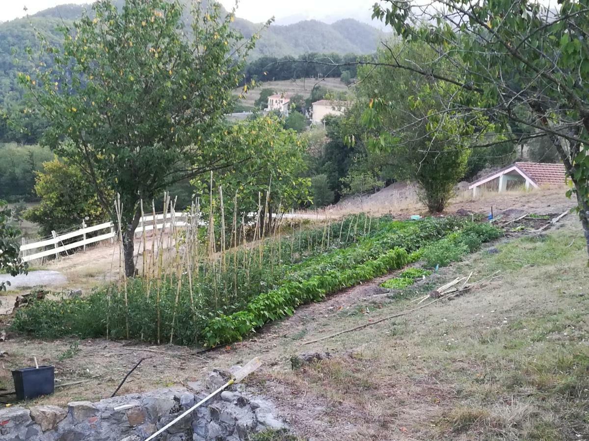 Agriturismo Dei Legi San Pietro Vara Luaran gambar